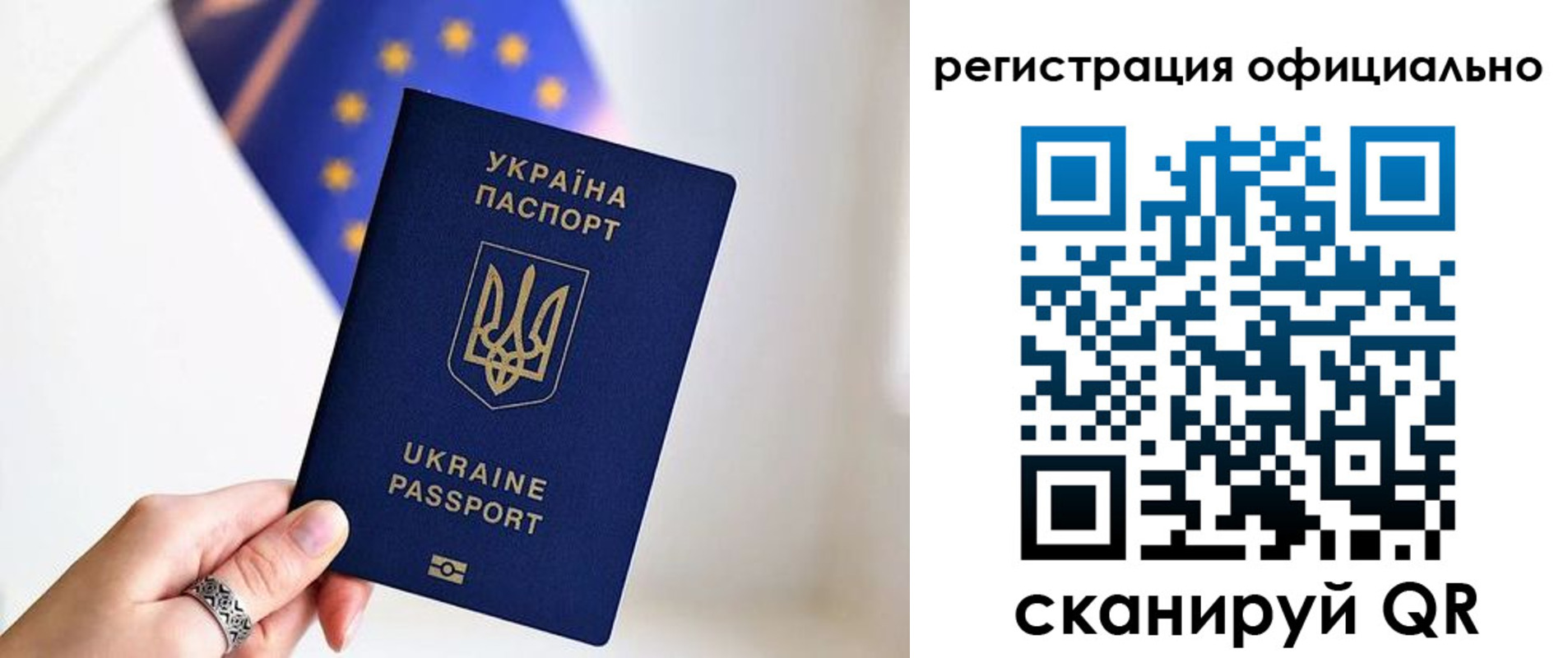 прописка для школы в Курске